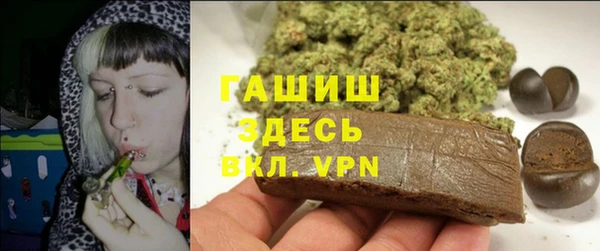 стафф Алзамай