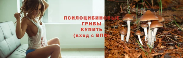спайс Абинск