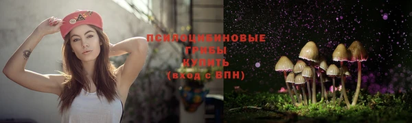дживик Алексин