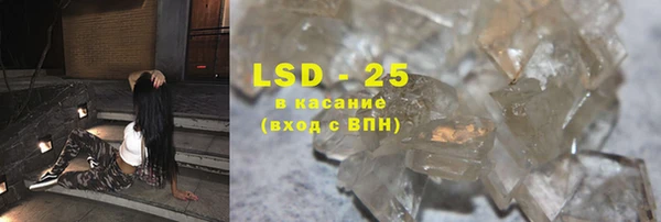 шишки Абаза