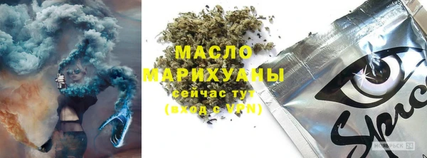 шишки Абаза