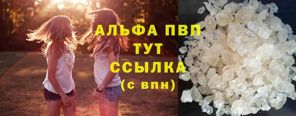 шишки Абаза